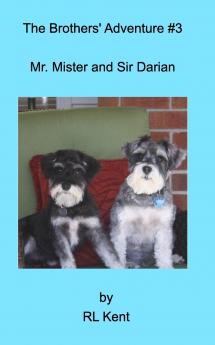 The Brothers' Adventure #3