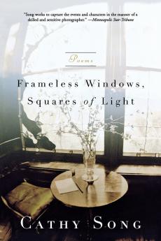 Frameless Windows Squares of Light