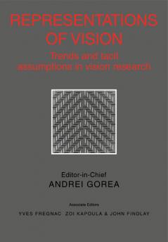 Representations of Vision