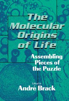 The Molecular Origins of Life