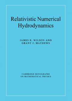 Relativistic Numerical Hydrodynamics