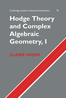 Hodge Theory and Complex Algebraic Geometry I