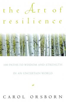 The Art of Resilience