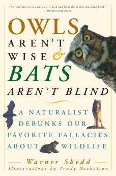Owls Aren't Wise & Bats Aren't Blind