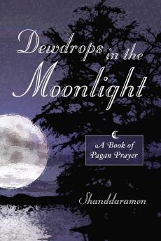 Dewdrops In The Moonlight