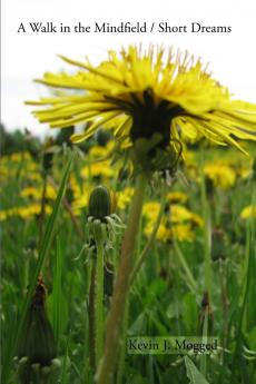 A Walk in the Mindfield / Short Dreams