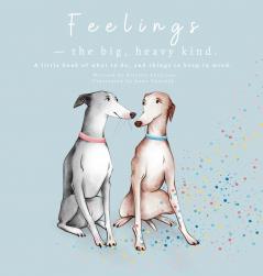 Feelings - The Big Heavy Kind