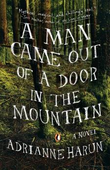 A Man Came Out of a Door in the Mountain