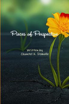 Pieces of Perspective