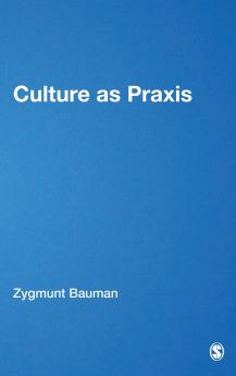 Culture as Praxis