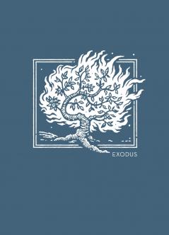 NET Abide Bible Journal - Exodus Paperback Comfort Print | Softcover