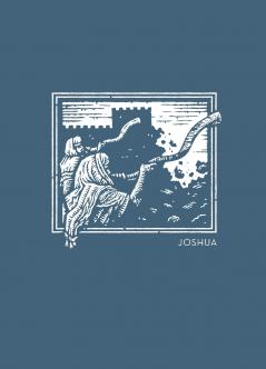 NET Abide Bible Journal - Joshua Paperback Comfort Print | Softcover