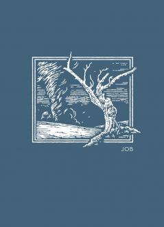 NET Abide Bible Journal - Job Paperback Comfort Print | Softcover