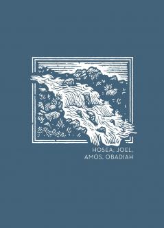 NET Abide Bible Journal - Hosea Joel Amos Obadiah Paperback Comfort Print | Softcover