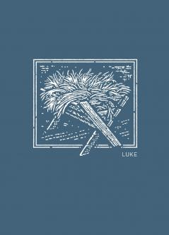 NET Abide Bible Journal - Luke Paperback Comfort Print | Softcover