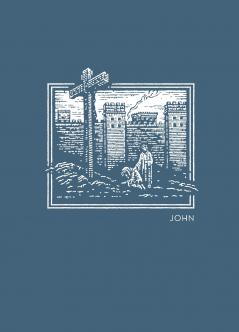 NET Abide Bible Journal - John Paperback Comfort Print | Softcover