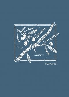 NET Abide Bible Journal - Romans Paperback Comfort Print | Softcover