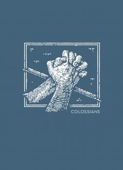 NET Abide Bible Journal - Colossians Paperback Comfort Print | Softcover