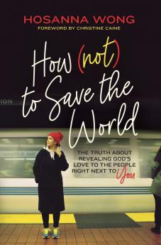 How (Not) to Save the World | Softcover