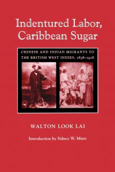 Indentured Labor Caribbean Sugar