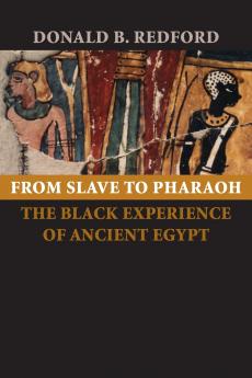 From Slave to Pharaoh