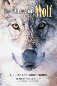 The Yellowstone Wolf