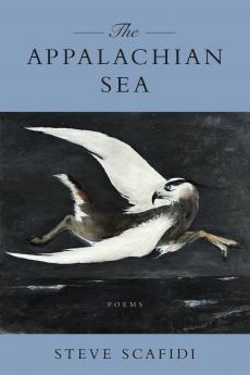 Appalachian Sea