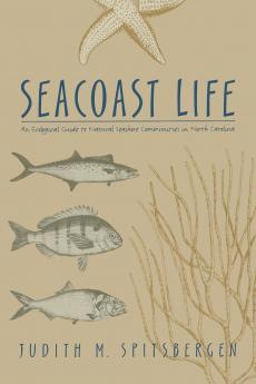 Seacoast Life