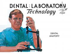 Dental Anatomy