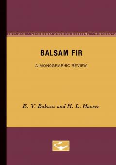 Balsam Fir