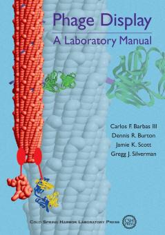 Phage Display