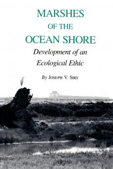 Marshes of the Ocean Shore