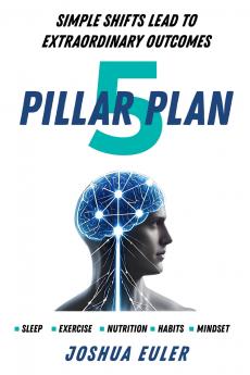 5 Pillar Plan
