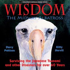Wisdom the Midway Albatross
