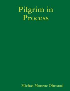 Pilgrim in Process
