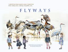 FLYWAYS