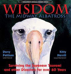 Wisdom the Midway Albatross