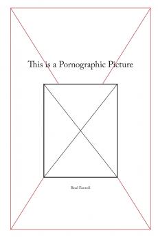 This is a Pornographic Picture (Paperback)