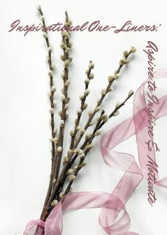 Inspirational One-Liners