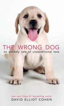 The Wrong Dog