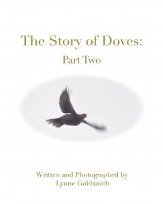 The Story of Doves