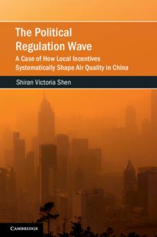 The Political Regulation Wave