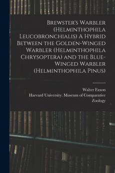 Brewster's Warbler (Helminthophila Leucobronchialis) A Hybrid Between the Golden-winged Warbler (Helminthophila Chrysoptera) and the Blue-winged Warbler (Helminthophila Pinus)