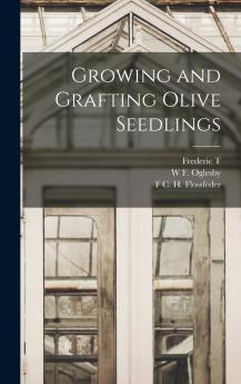 Growing and Grafting Olive Seedlings