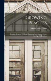 Growing Peaches