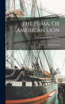 The Puma Or American Lion