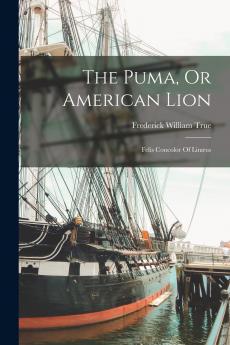 The Puma Or American Lion