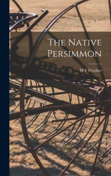 The Native Persimmon