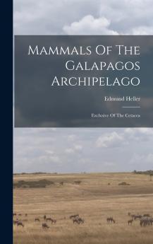 Mammals Of The Galapagos Archipelago