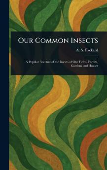 Our Common Insects